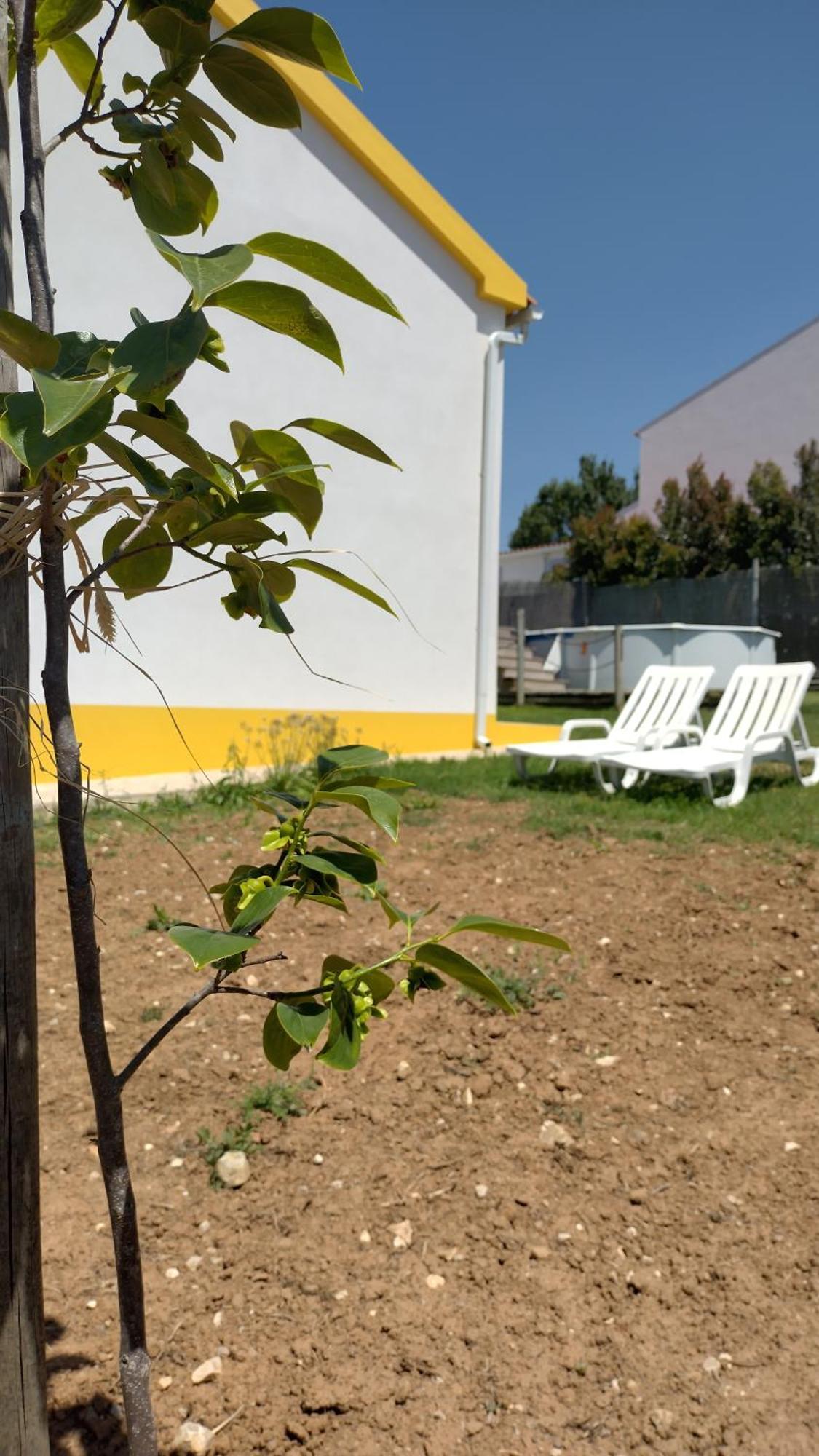 Villa Casa Da Caroleira Pacos  Esterno foto